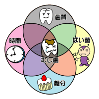 虫歯の原因（１）