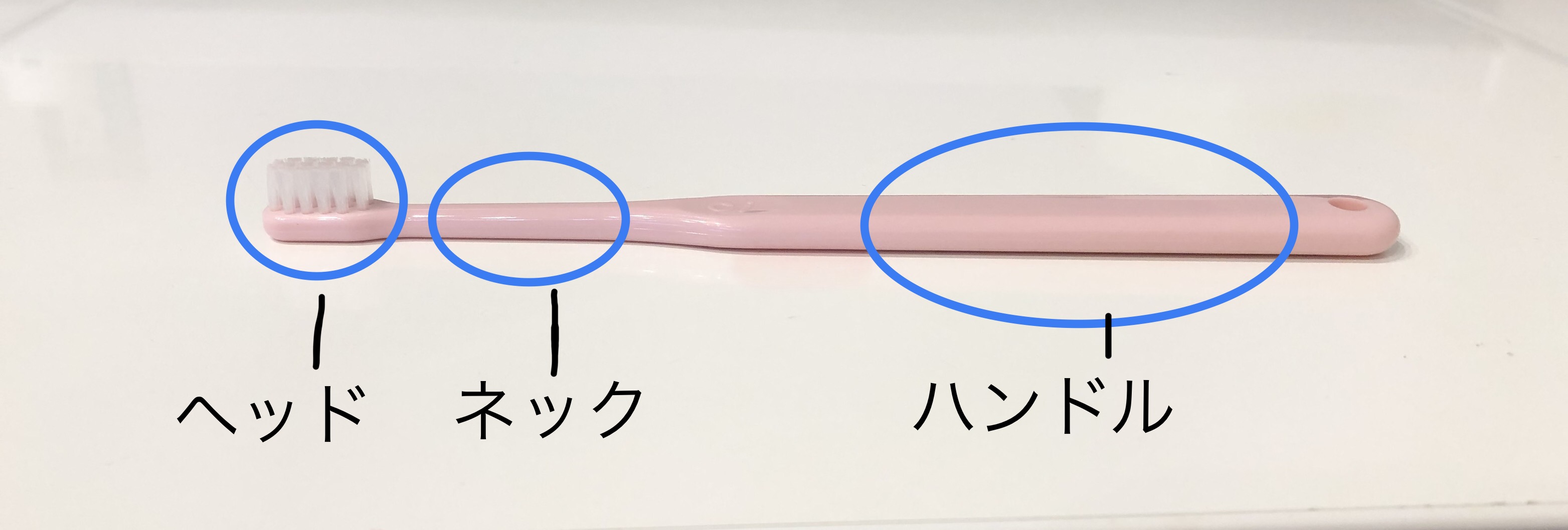 歯の磨き方で困っていませんか？①